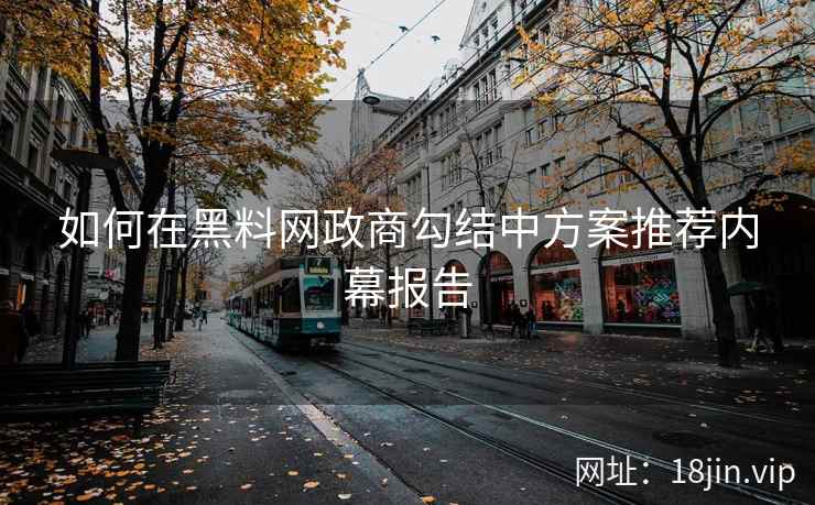 如何在黑料网政商勾结中方案推荐内幕报告