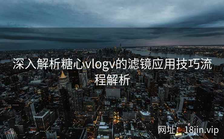深入解析糖心vlogv的滤镜应用技巧流程解析  第2张
