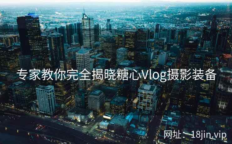 专家教你完全揭晓糖心Vlog摄影装备  第2张