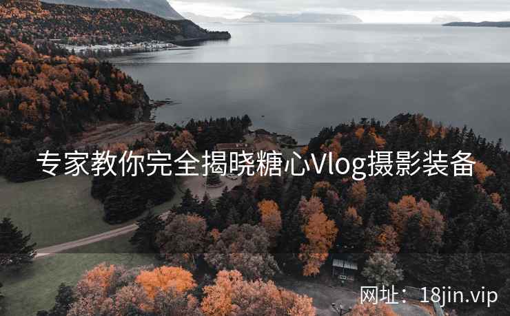 专家教你完全揭晓糖心Vlog摄影装备  第1张