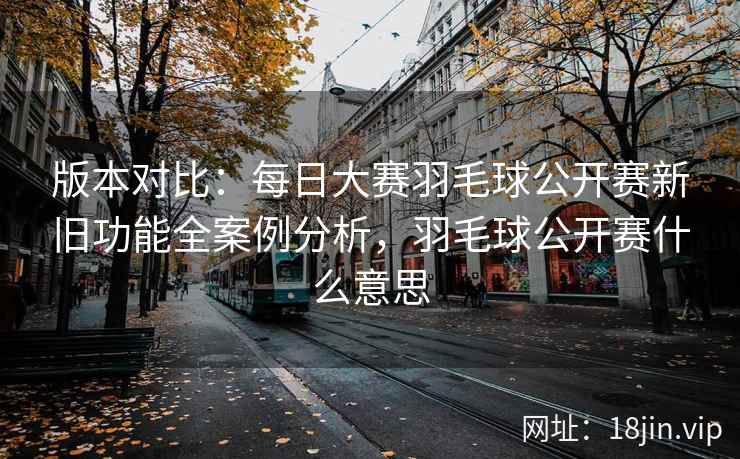 版本对比：每日大赛羽毛球公开赛新旧功能全案例分析，羽毛球公开赛什么意思