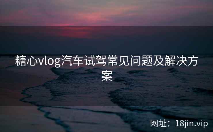 糖心vlog汽车试驾常见问题及解决方案  第2张