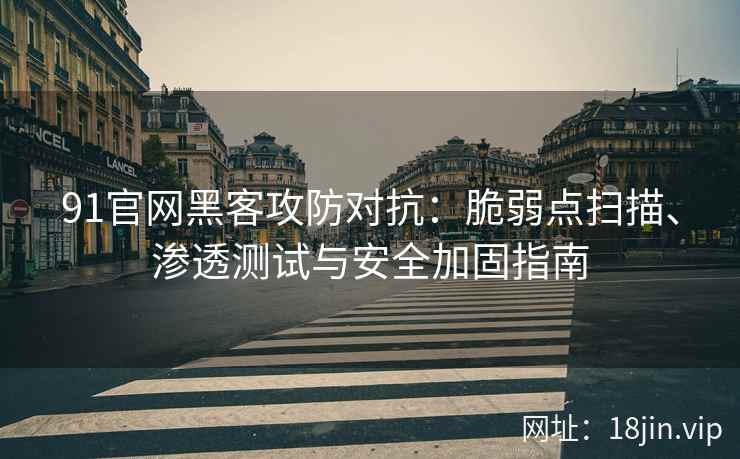 91官网黑客攻防对抗：脆弱点扫描、渗透测试与安全加固指南  第2张