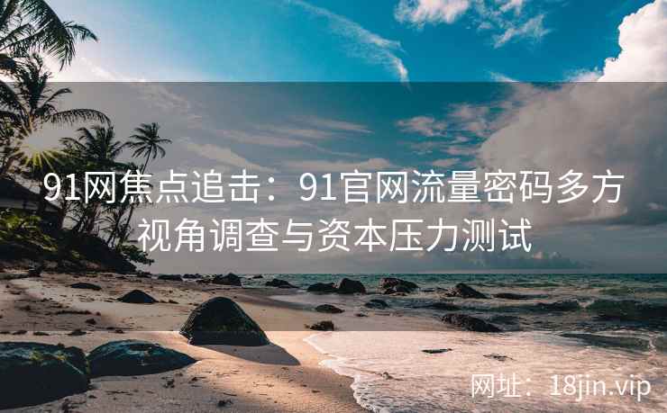 91网焦点追击：91官网流量密码多方视角调查与资本压力测试  第1张