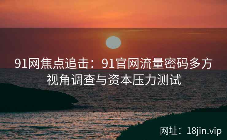91网焦点追击：91官网流量密码多方视角调查与资本压力测试  第2张