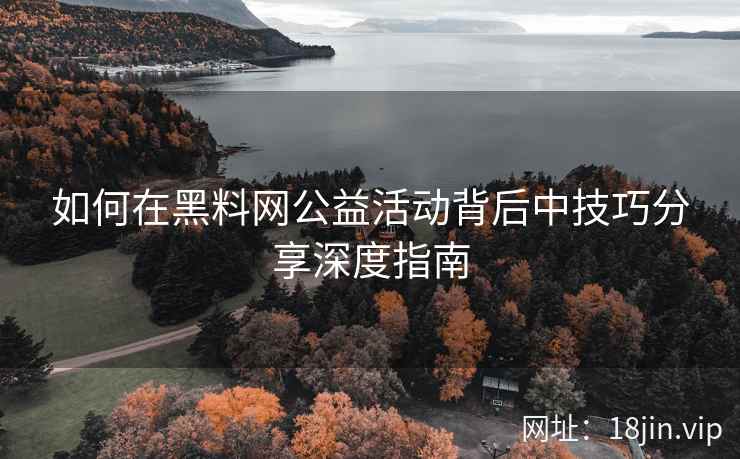 如何在黑料网公益活动背后中技巧分享深度指南  第1张