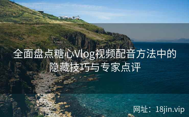 全面盘点糖心Vlog视频配音方法中的隐藏技巧与专家点评  第2张